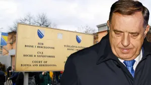 presuda dodiku, ilustracija/Lejla Sofradžija I Damir Deljo 