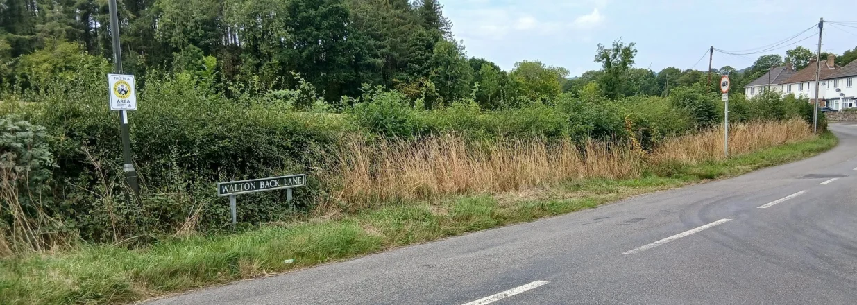 Slobodnorastuća živica izvan naselja/