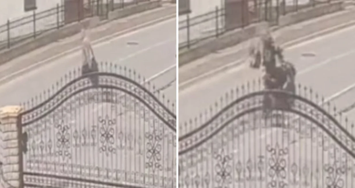 Motociklista, pješak, stravična nesreća, Gradačac, MUP TK, snimak/Prtsc