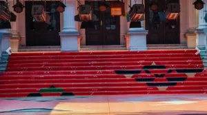 Postavljen crveni tepih/Harun Muminović/Fena/Harun Muminović