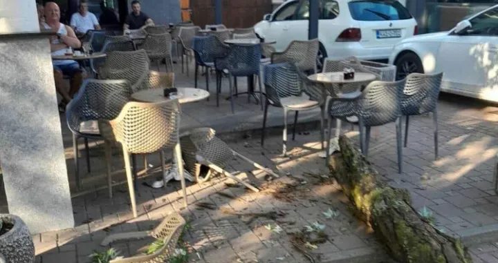 Pala grana/Nezavisne//