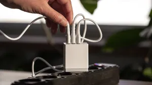 Pogreške koje svi rade, a ne bi smjeli/Free Pik