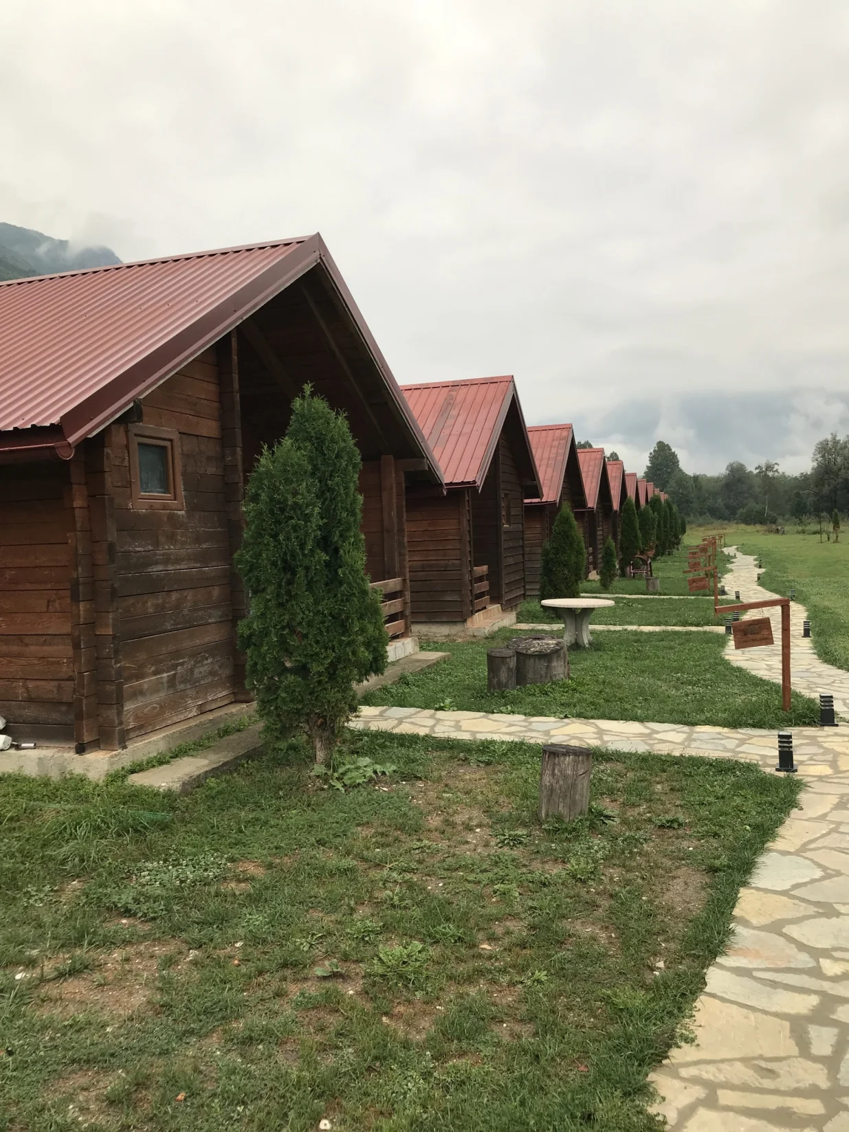 Eko katuni Rosi, mjesto Vusanje/Tanja Cerić