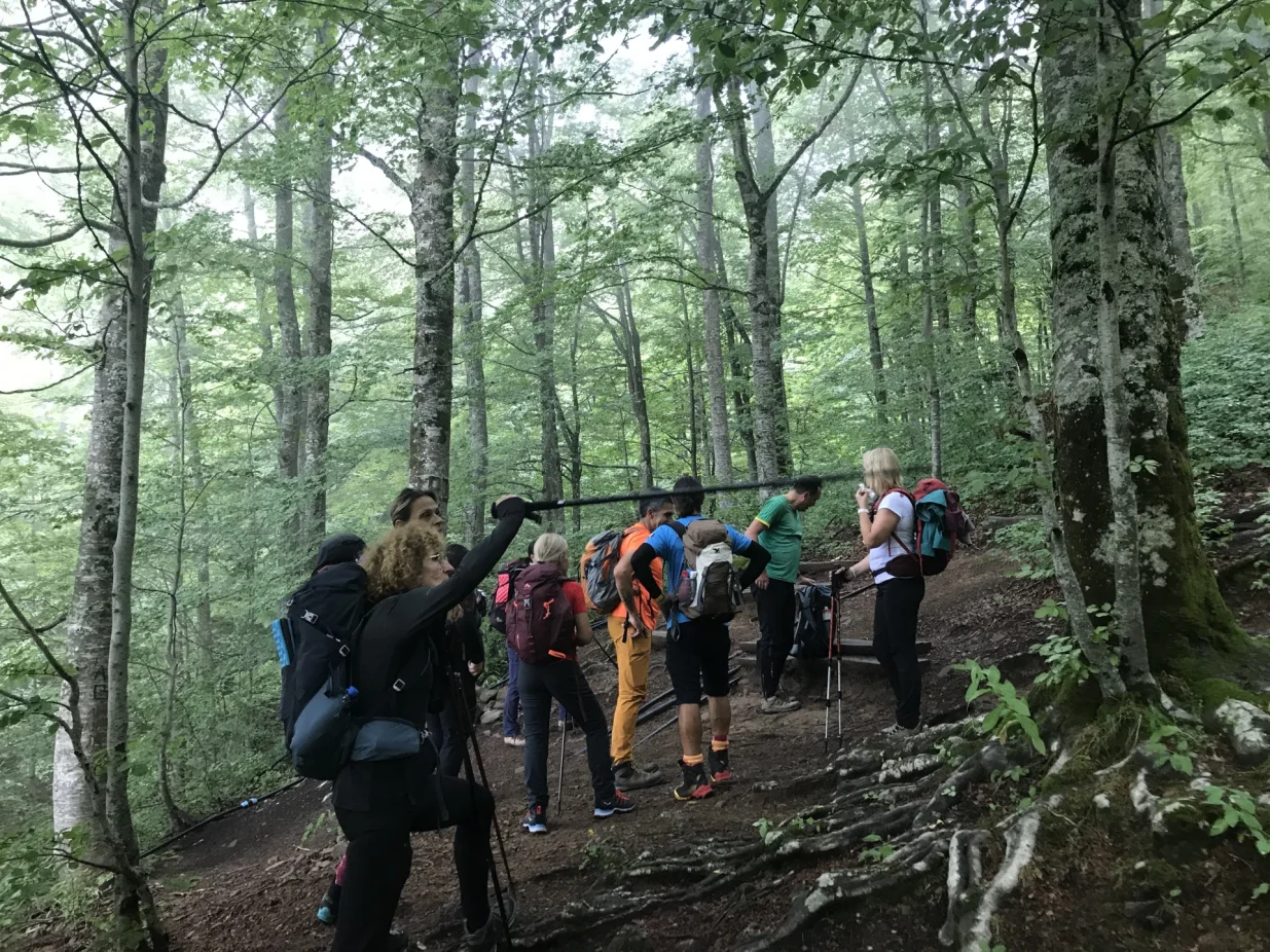 polazak kroz šumu/Tanja Cerić