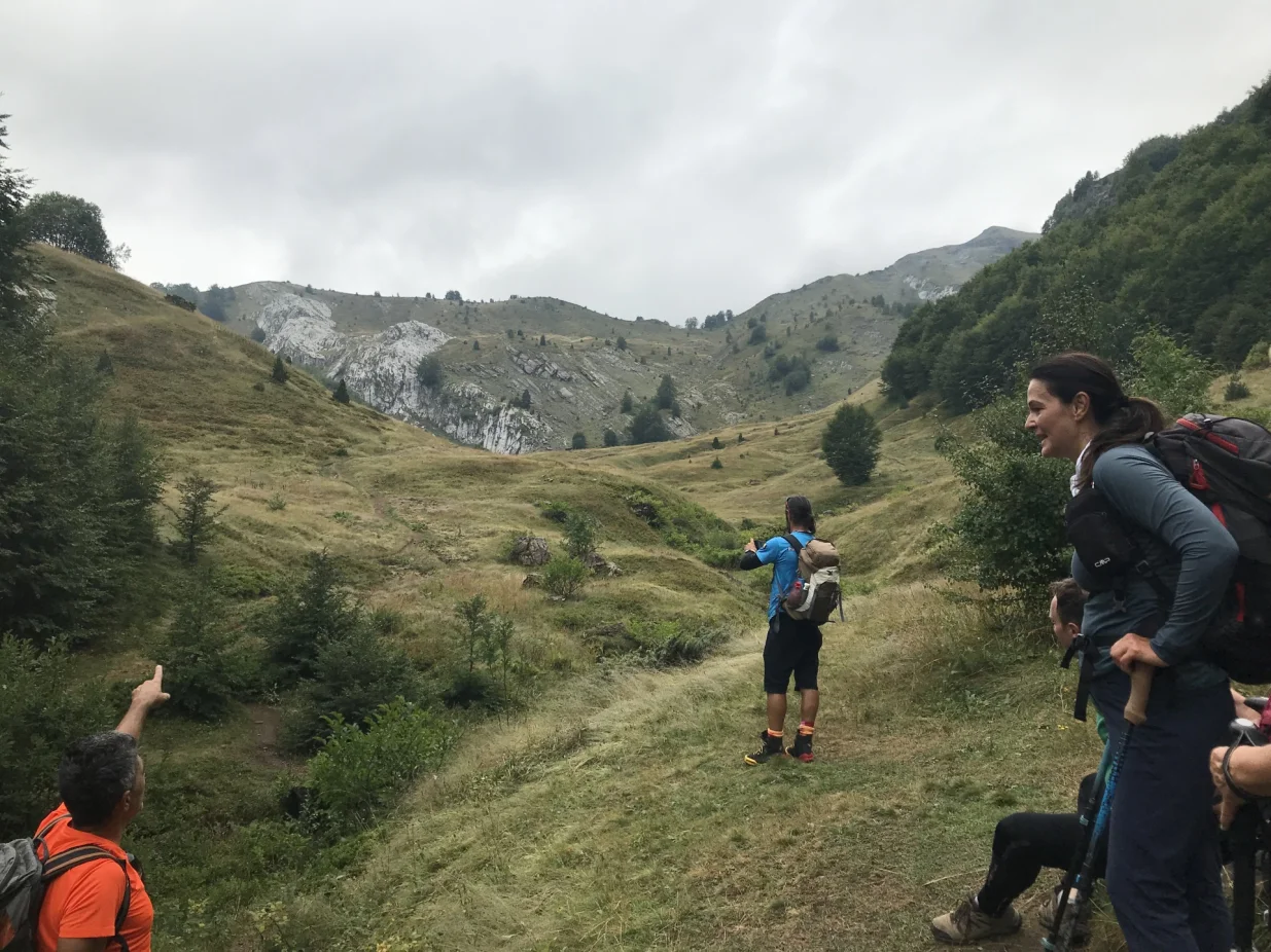 izlazak na proplanak i pogled prema vrhu Volušnica/Tanja Cerić