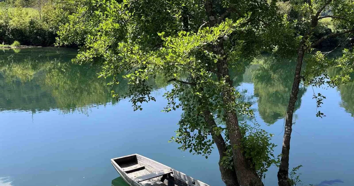 Una /FARUK &Scaron;EHIĆ/