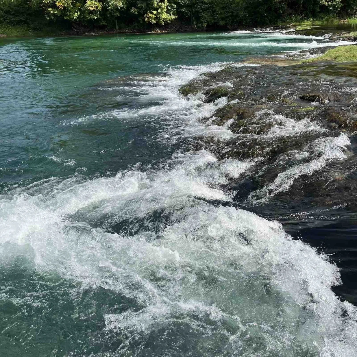 Una /FARUK &Scaron;EHIĆ/