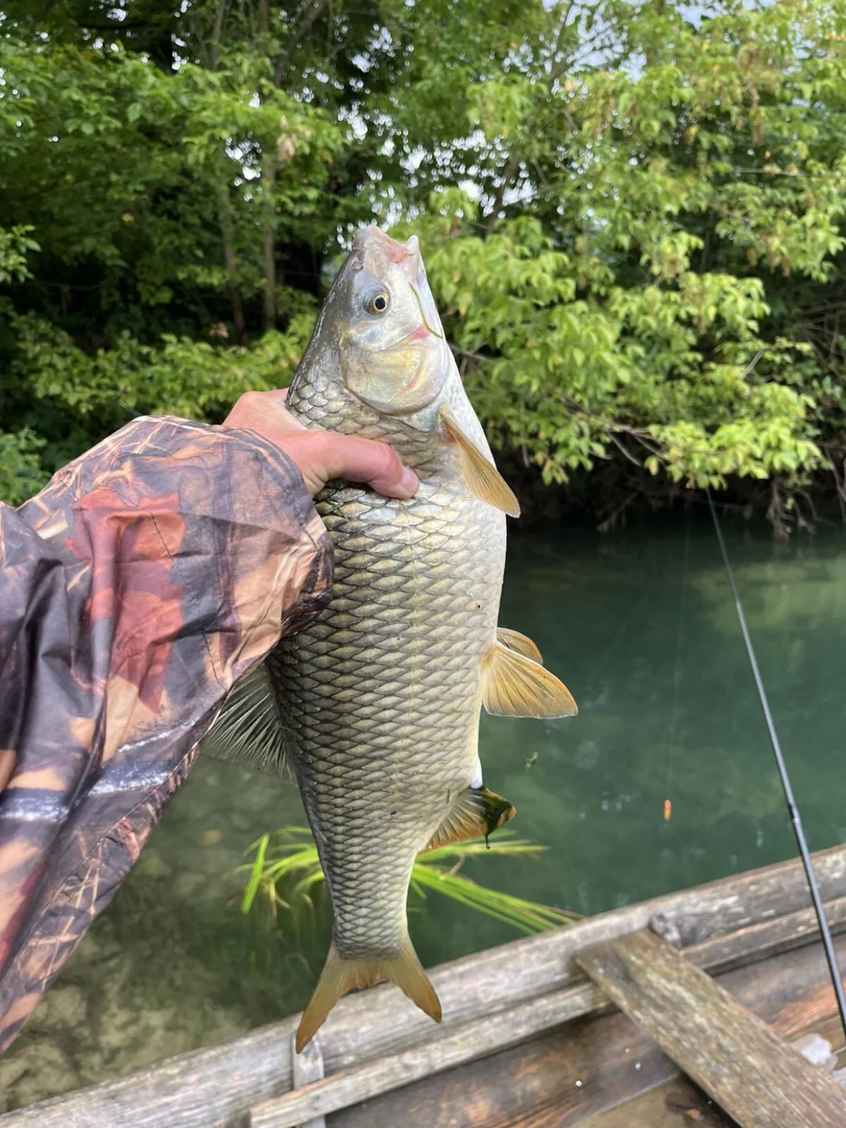 Una /FARUK &Scaron;EHIĆ/