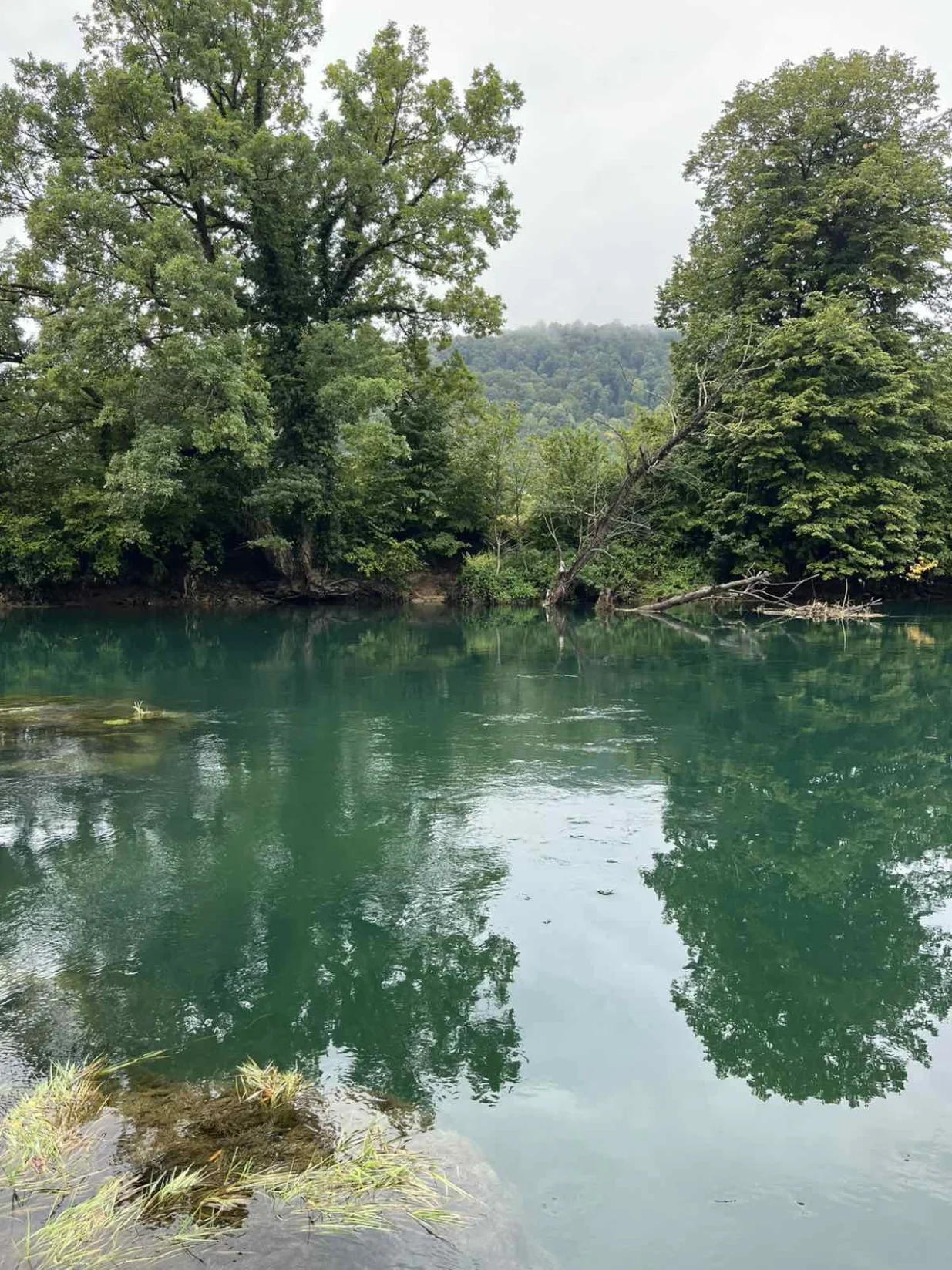 Una /FARUK &Scaron;EHIĆ/