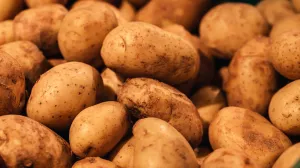 Krompir nije uvijek bezopasan/Free Pik