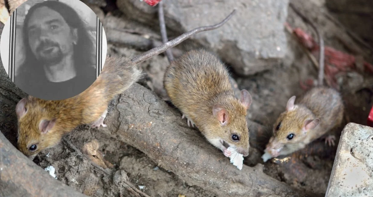 Ibrišević pronađen mrtav/Ilustracija