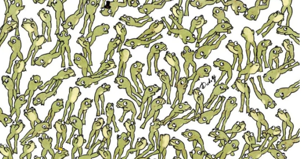 Test za sokolovo oko/Dudolf