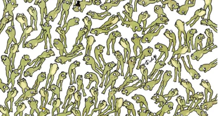 Test za sokolovo oko/Dudolf