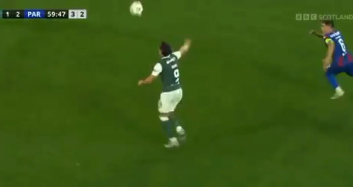 Kakva golčina/Foto: 