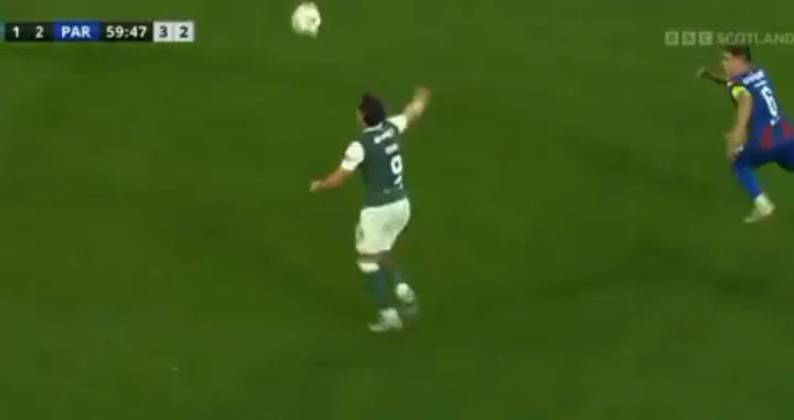 Kakva golčina/Foto: 