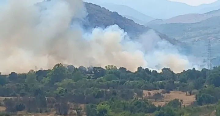 Požar kod Trebinja, Trebinje, Gomiljani/Rtrs
