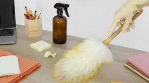 Zaboravite na prašinu/Free Pik