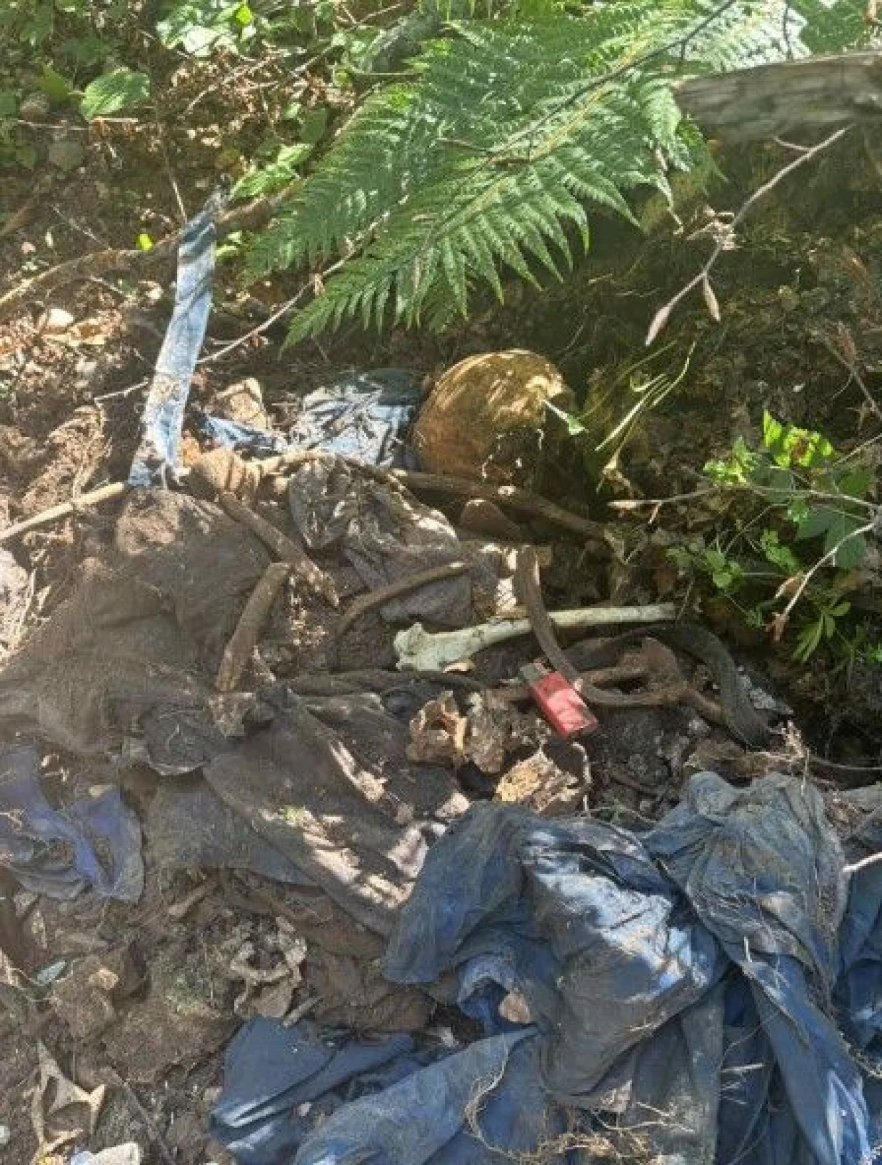 Pronađeni posmrtni ostaci/Avaz/