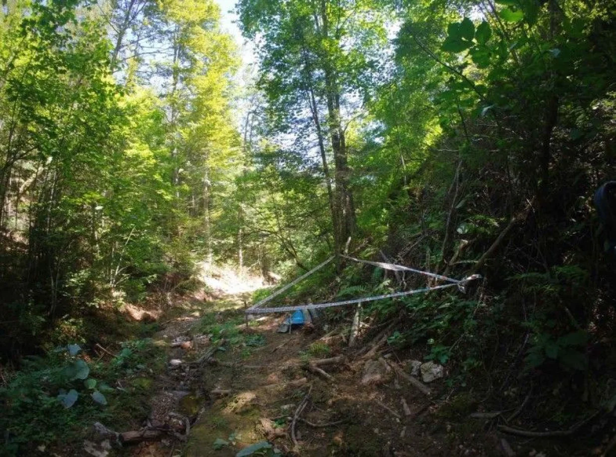 Mjesto pronalaska/Avaz/