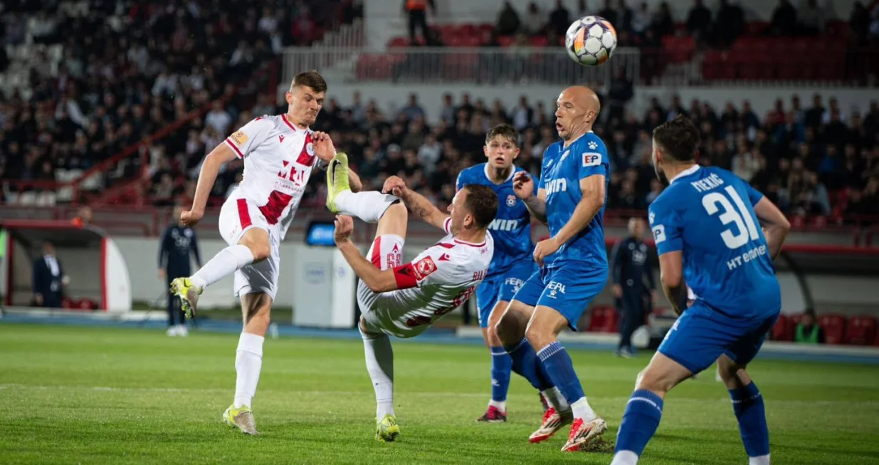 zrinjski siroki bilbija skarice/Foto: 