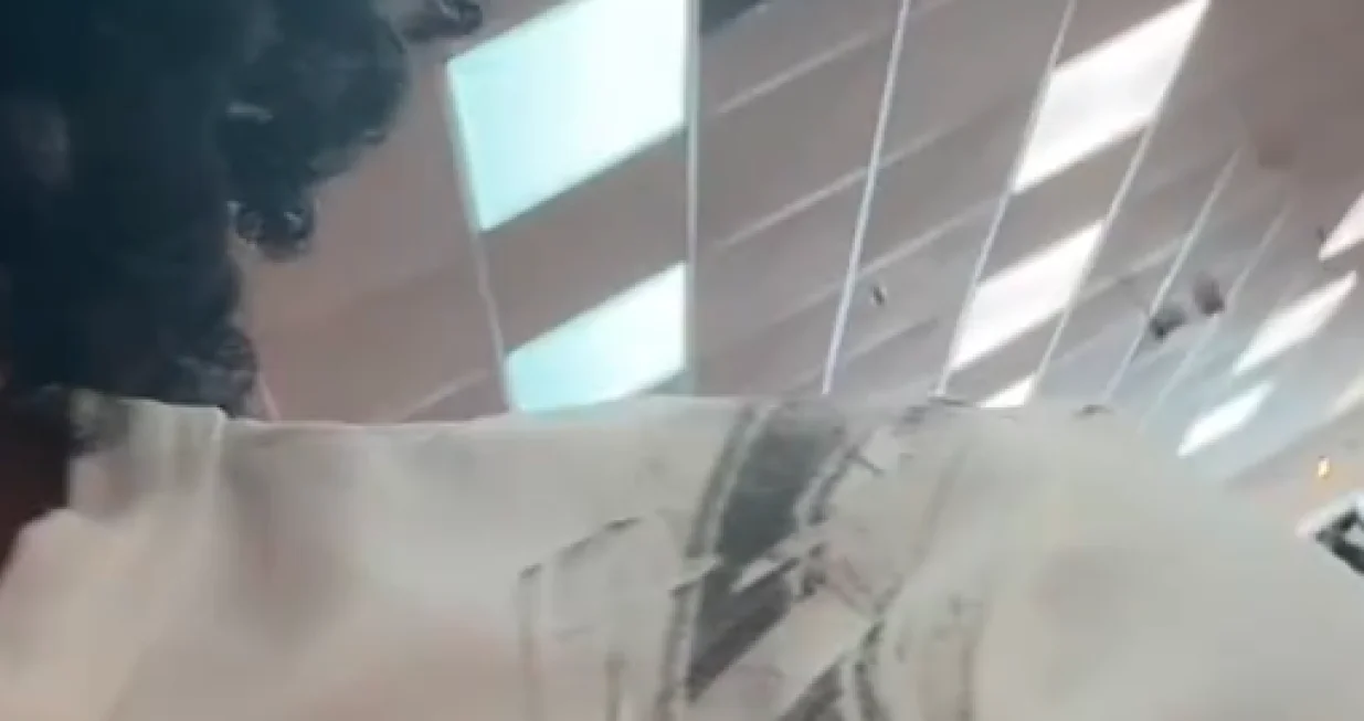 mrlje od torbice/Screenshot