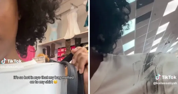 TikTokerica, torbica, istopila se/Prtsc