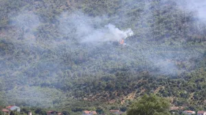 Na terenu vatrogasci/Ilustracija/Fena//