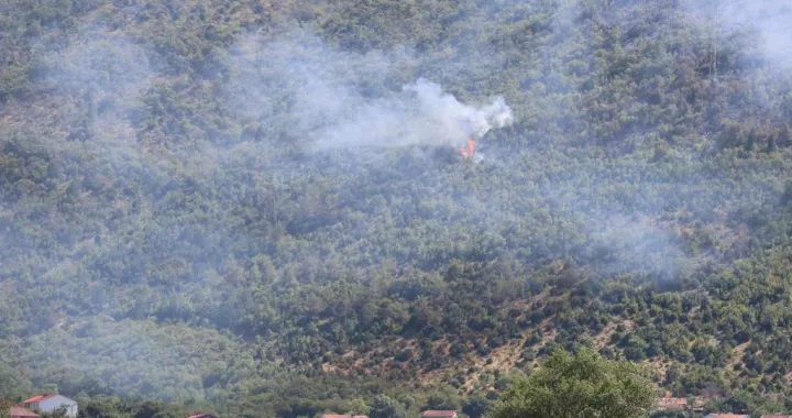 Na terenu vatrogasci/Ilustracija/Fena//