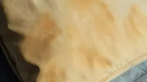 Zaboravite skupa hemijska čišćenja/Pinterest