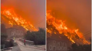 Strašni prizori/Printscreen/X.com//