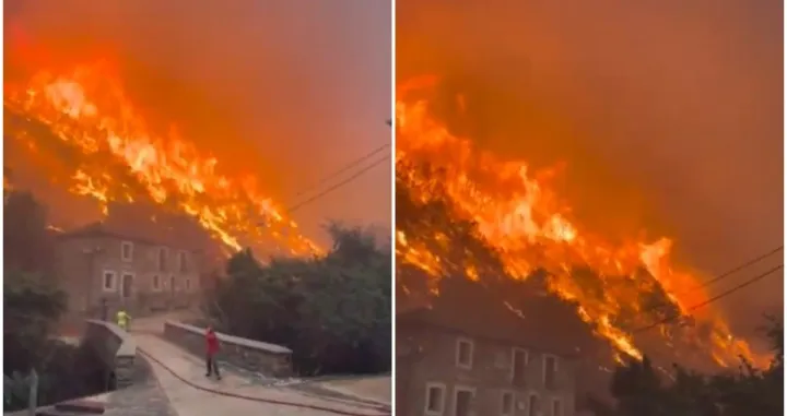 Strašni prizori/Printscreen/X.com//