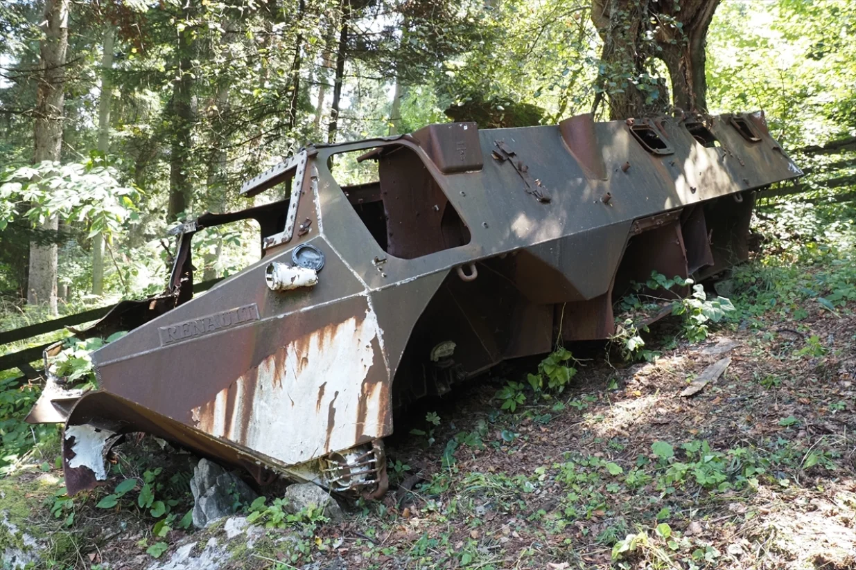 igman diplomate sad 3/