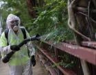 A worker sprays insecticide at a public housing estate following reports of imported cases of Chikungunya in Hong Kong, China, August 7, 2025. REUTERS/Tyrone Siu/Tyrone Siu