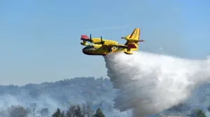 Angažovana i dva kanadera/Ilustracija/Fena//