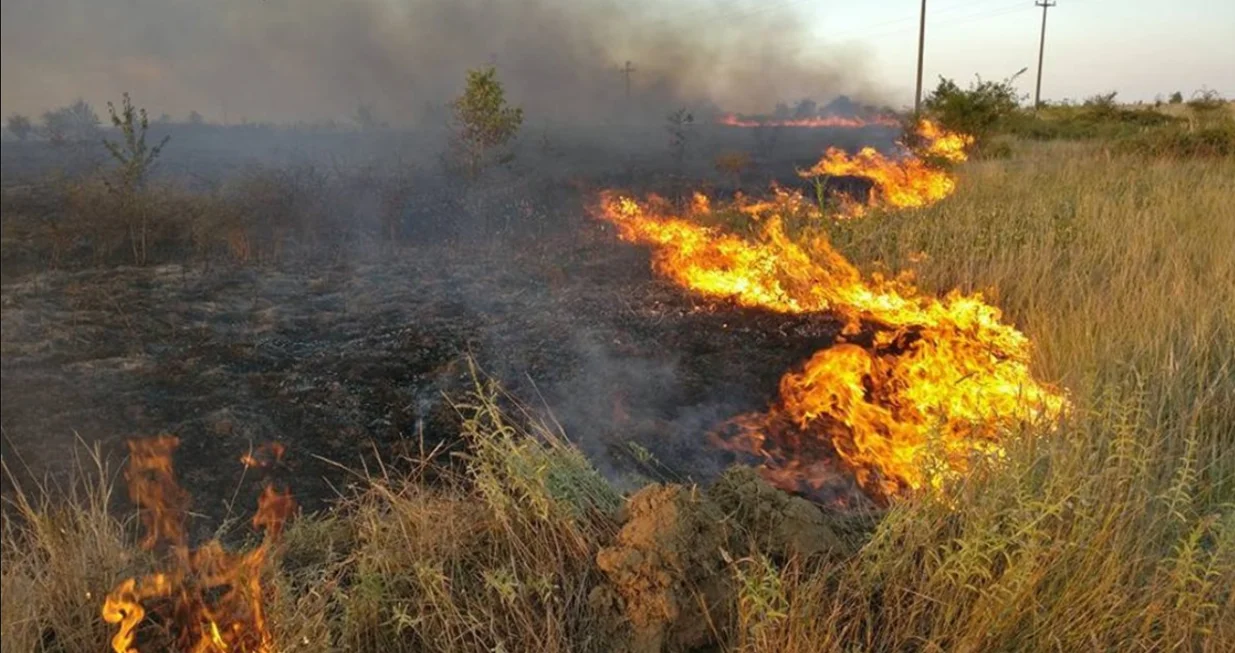 Požar, paljenje korova, korov, njiva, vatra, trava, poljoprivreda/Pixabay