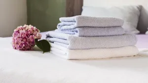 Peškiri će biti mekani kao u hotelu/Free Pik