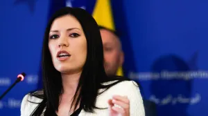 Vulić izjava hitna sjednica jena Konakovića/Damir Deljo