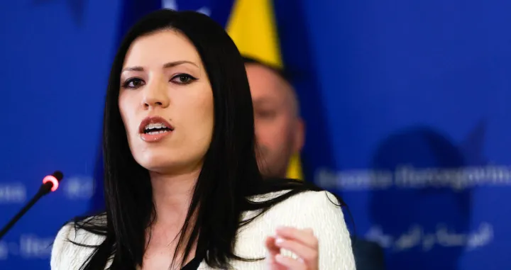 Vulić izjava hitna sjednica jena Konakovića/Damir Deljo