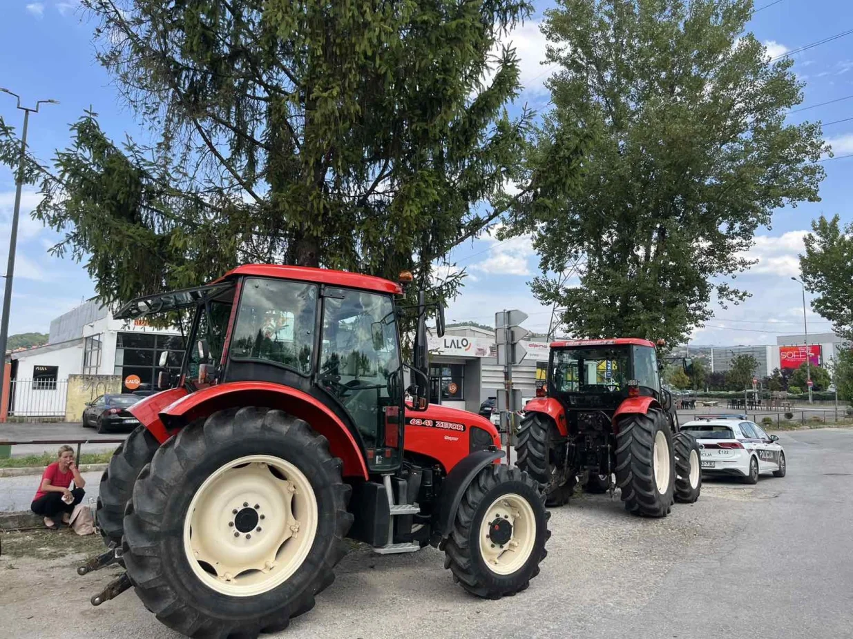 Spriječeni protesti/Dženisa Zukančić/