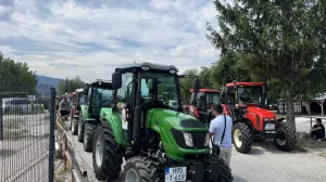 Spriječeni protesti/Dženisa Zukančić/