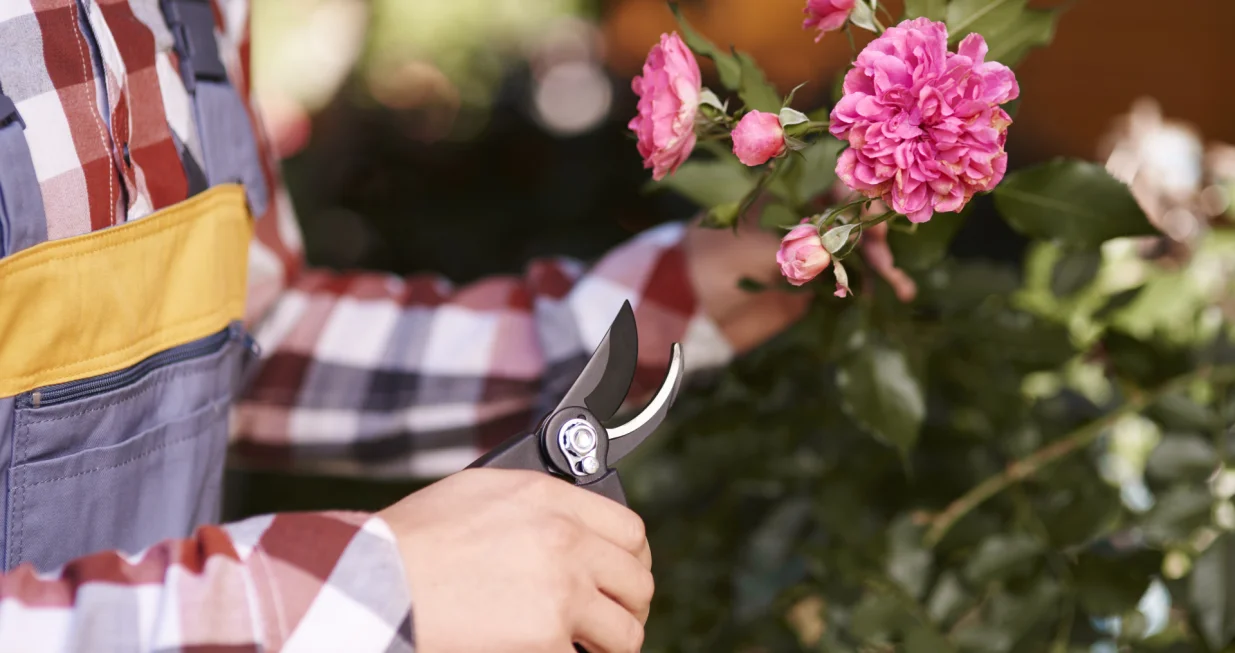 Spasite svoj vrt na vrijeme/Free Pik