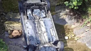 Jezive scene sa mjesta nesreće/Srna//