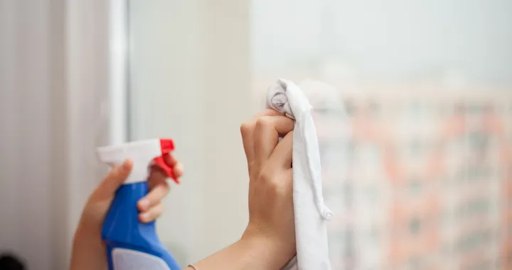 Pranje prozora/Pixabay.com