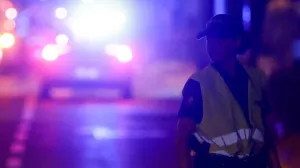 Policija MUP KS ilustracije/Damir Deljo