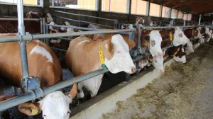 Farma - Porodično gazdinstvo Ranč u Mionici/