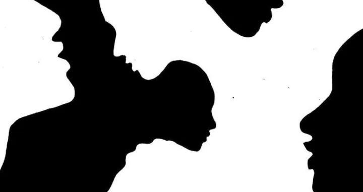 Koliko lica vidite?/