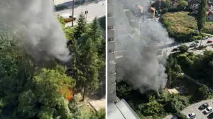 Požar kod Bosmala/Crna Hronika