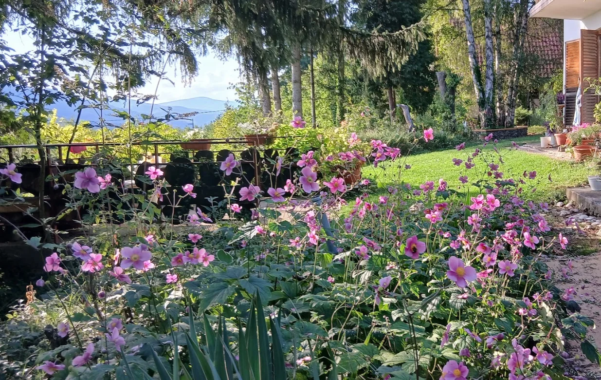 Rascvjetala jesen u mome vrtu/