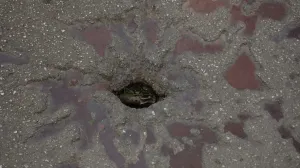 Dan sjećanja na sve ubijene i ranjene građane Sarajeva u periodu opsade pijaca Markale/Senad Gubelić