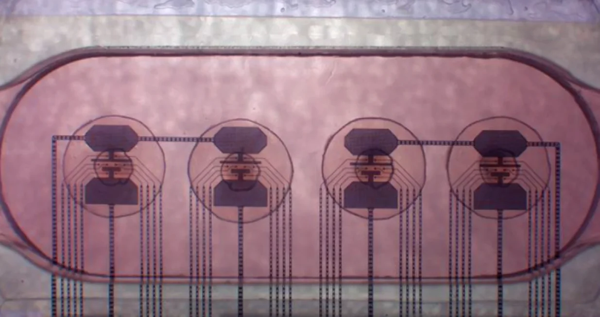 Naučna fantastika postaje stvarnost/